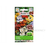 Nemezja (mieszanka) (Nemesia strumosa) - 0,3 g