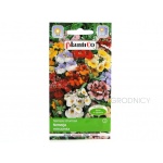 Nemezja (mieszanka) (Nemesia strumosa) - 0,3 g