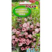 Niecierpek balsamina IRMA (mieszanka) (Impatiens balsamina) - 2 g