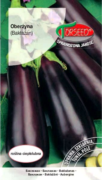 Oberżyna - Bakłażan BLACK BEAUTY (Solanum melongena) - 0,5 g