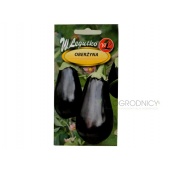 Oberżyna BLACK BEAUTY (Solanum melongena) - 1 g