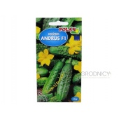 Ogórek gruntowy, konserwowy, kwaszeniak ANDRUS F1 (Cucumis sativus) - 5 g