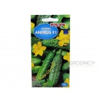 Ogórek gruntowy, konserwowy, kwaszeniak ANDRUS F1 (Cucumis sativus) - 5 g