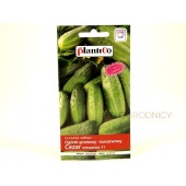 Ogórek gruntowy, konserwowy, kwaszeniak CEZAR F1 (Cucumis sativus) - 5 g