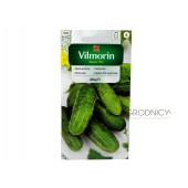 Ogórek gruntowy, konserwowy, kwaszeniak AŁTAJ F1 (Cucumis sativus) - 3 g