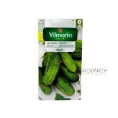 Ogórek gruntowy, konserwowy, kwaszeniak ALTAJ F1 (Cucumis sativus) - 3 g