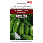 Ogórek gruntowy, konserwowy, kwaszeniak CEZAR F1 otoczkowany (Cucumis sativus) - 50 nasion