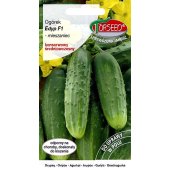 Ogórek gruntowy, konserwowy EDYP mieszaniec F1 (Cucumis sativus) - 5 g