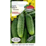 Ogórek gruntowy, konserwowy EDYP mieszaniec F1 (Cucumis sativus) - 5 g