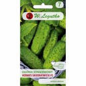 Ogórek gruntowy, konserwowy HERMES SKIERNIEWICKI F1 (Cucumis sativus) - 5 g