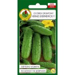 Ogórek gruntowy, konserwowy HERMES SKIERNIEWICKI F1 (Cucumis sativus) - 5 g