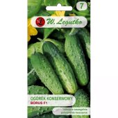 Ogórek gruntowy, konserwowy, kwaszeniak BORUS F1 (Cucumis sativus) - 4 g