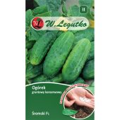 Ogórek gruntowy, konserwowy, kwaszeniak ŚREMSKI F1 otoczkowany (Cucumis sativus) - 50 nasion