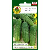 Ogórek gruntowy, konserwowy, kwaszeniak SZERYF F1 (Cucumis sativus) - 5 g