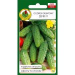 Ogórek gruntowy, konserwowy, kwaszeniak ZEFIR F1 mieszaniec (Cucumis sativus) - 5 g