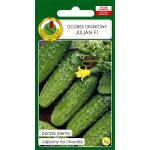 Ogórek gruntowy, konserwowy, kwaszeniak JULIAN F1 (Cucumis sativus) - 5 g