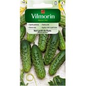 Ogórek gruntowy, konserwowy, kwaszeniak VERT PETIT DE PARIS "ZIELONY PARYSKI" (Cucumis sativus) - 5 g