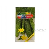 Ogórek gruntowy, konserwowy, kwaszeniak MAGNETAR  F1 (Cucumis sativus) - 5 g