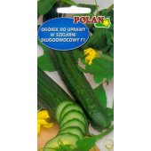 Ogórek pod osłony CARUSO F1 (Cucumis sativus) - 1 g