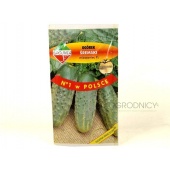 Ogórek gruntowy, konserwowy, kwaszeniak ŚREMSKI  F1 (Cucumis sativus) - 6,5 g