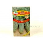 Ogórek gruntowy, konserwowy, kwaszeniak ŚREMSKI  F1 (Cucumis sativus) - 6,5 g