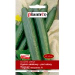 Ogórek szklarniowy, pod osłony TOPAZ  F1 (Cucumis sativus) - 1 g