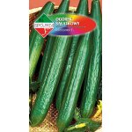 Ogórek szklarniowy, pod osłony LECH F1 (Cucumis sativus) - 1 g