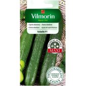 Ogórek szklarniowy, pod osłony SALADIN F1  (Cucumis sativus)-  0,8 g