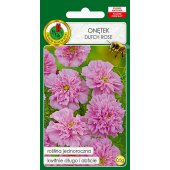 Onętek, Kosmos różowy DUTCH ROSE (Cosmos bipinnatus) - 0,5 g