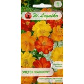 Onętek siarkowy (Cosmos sulphureus) (mieszanka) - 1 g