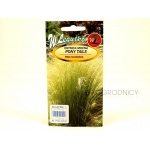 Ostnica mocna PONY TAILS (Stipa tenuissima) - 0,05 g