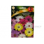 Osteospermum mieszanka (Osteospermum ecklonis) - 1 g