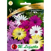 Osteospermum mieszanka (Osteospermum ecklonis) - 1 g