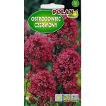 Ostrogowiec czerwony, Kentrantus (Centranthus ruber) - 0,3 g