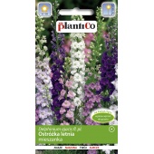 Ostróżka letnia (mieszanka) (Delphinium x cultorum) - 0,5 g