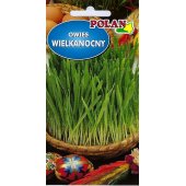 Owies wielkanocny (Avena sativa) - 20 g