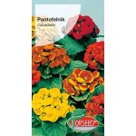 Pantofelnik (Calceolaria) - 0,02 g