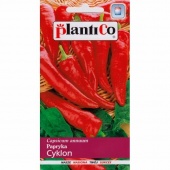 Papryka ostra CYKLON (Capsicum annuum) - 0,5 g 