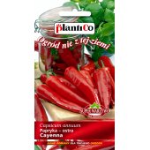 Papryka ostra CAYENNA (Capsicum annuum) - 0,4 g