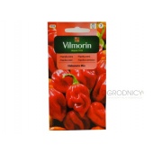 Papryka ostra HABANERO MIX (Capsicum annuum) - 25 ziaren