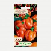 Papryka ostra chińska HABANERO ORANGE (Capsicum chinense) - 0,15 g