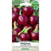 Papryka ostra KORAL (Capsicum annuum) - 0,5 g