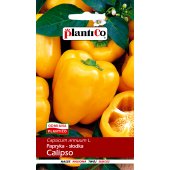 Papryka słodka CALIPSO (Capsicum annuum) -  0,5 g