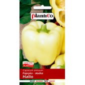 Papryka słodka HALLO (Capsicum annuum) -  0,5 g