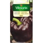 Papryka słodka INGRID (Capsicum annuum) - 0,5 g