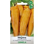 Papryka słodka ORNELA (Capsicum annuum) -  0,5 g