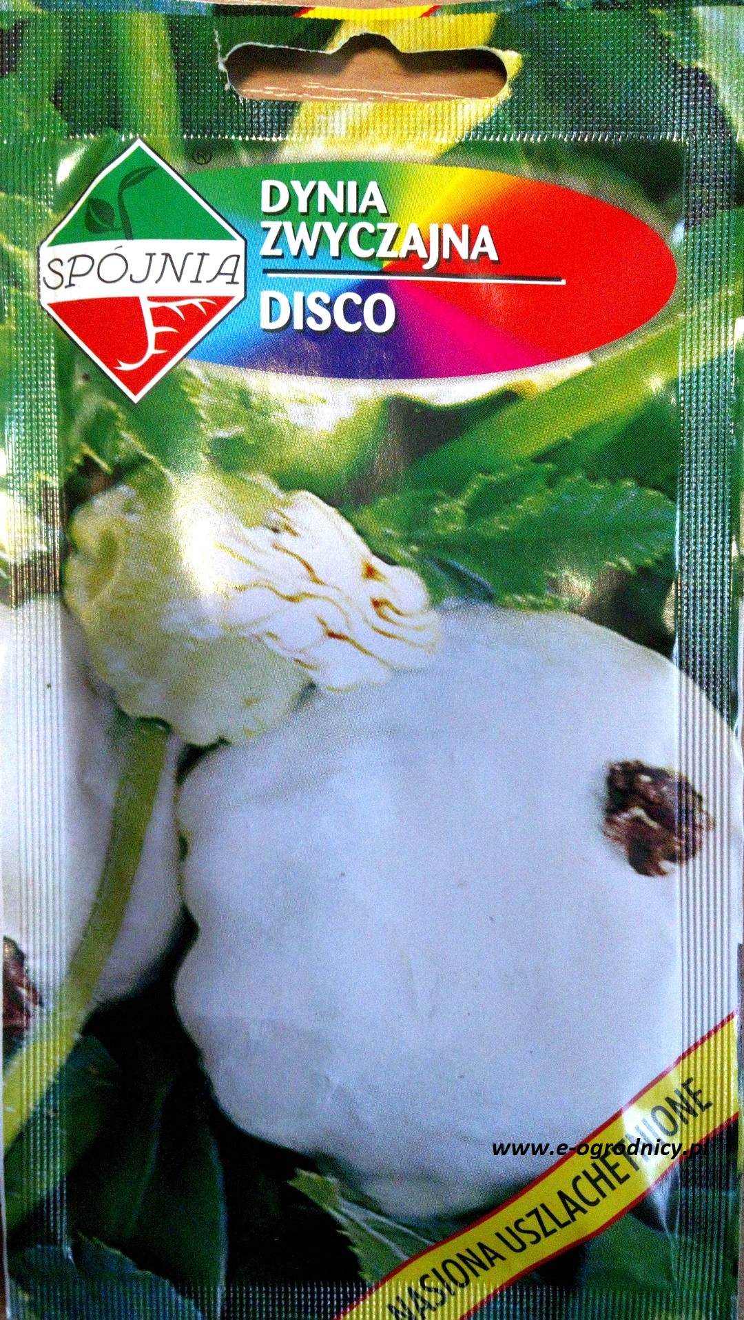 Patison DISCO (Cucurbita pepo) - 5 g
