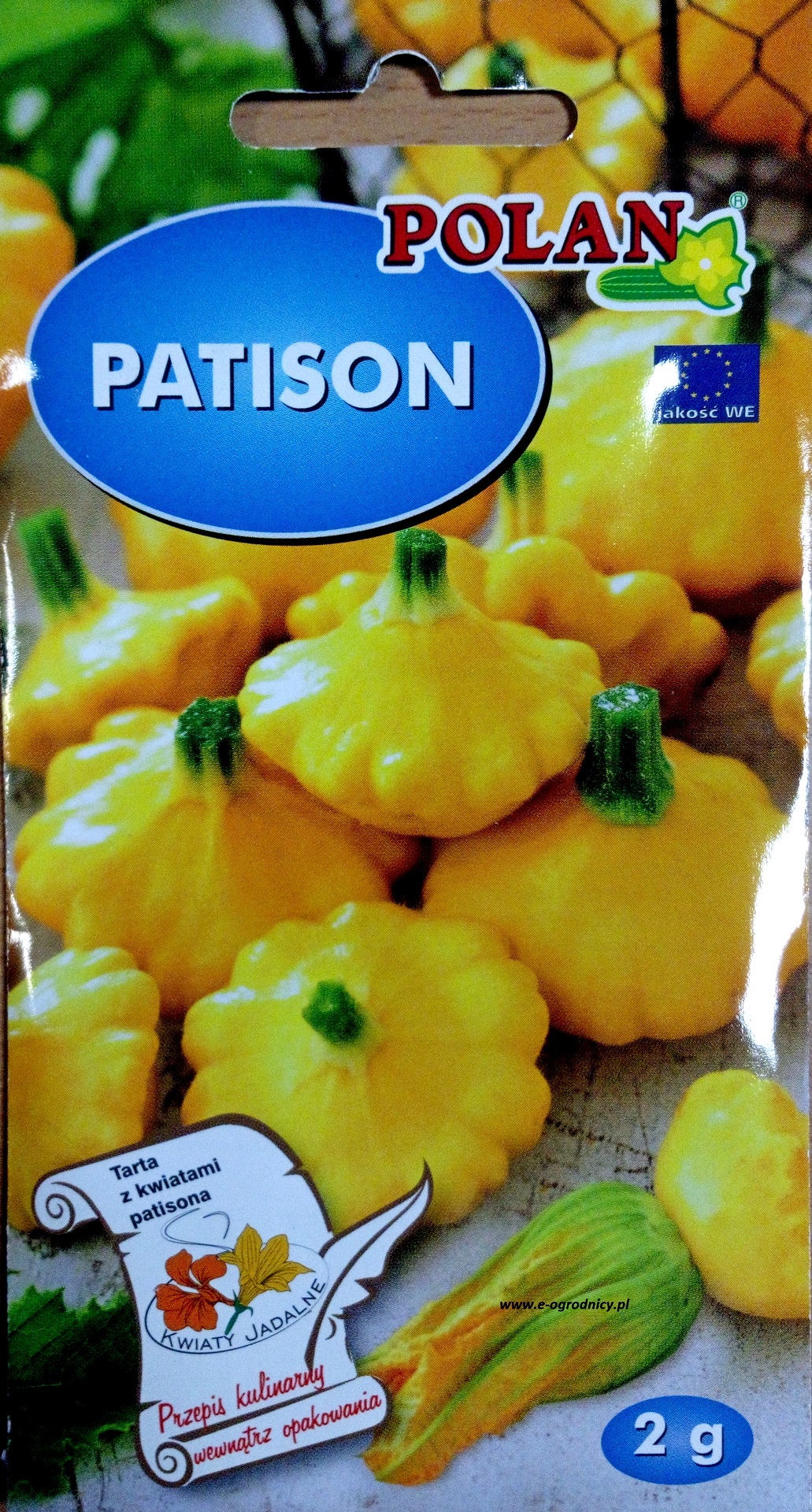 Patison ORANGE (Cucurbita pepo) - 1 g
