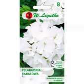 Pelargonia rabatowa GAMA F1 (biała) (Pelargonium x hortorum) - 0,05 g
