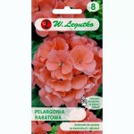 Pelargonia rabatowa GAMA F1 (łososiowa) (Pelargonium x hortorum) - 0,05 g
